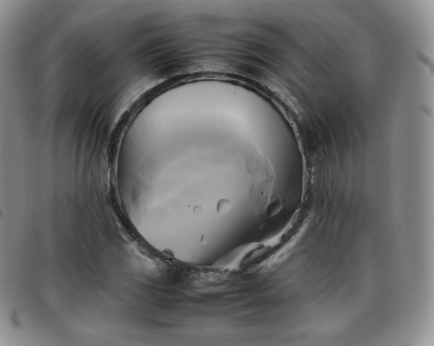 X0000099231117200805011131