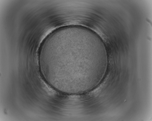 X0000099231118200805011131