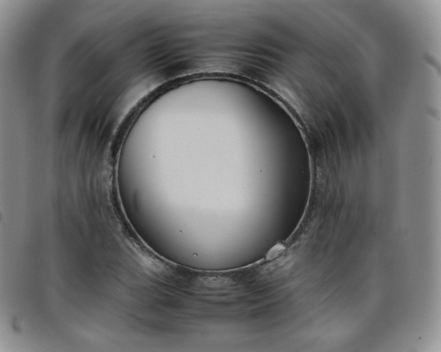 X0000099231119200805011131