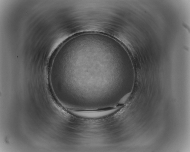 X0000099231120200805011131