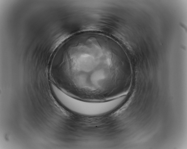 X0000099231121200805011131