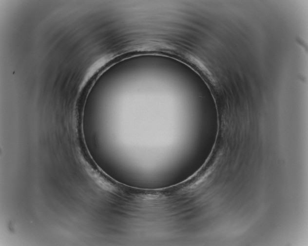 X0000099231122200805011131