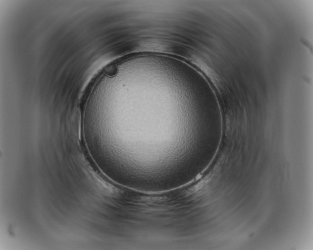 X0000099231123200805011131