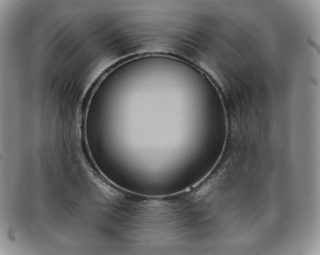 X0000099231124200805011131