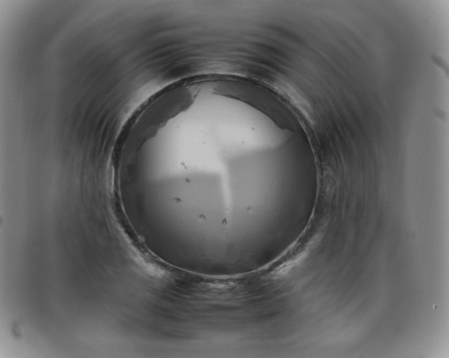 X0000099231125200805011131