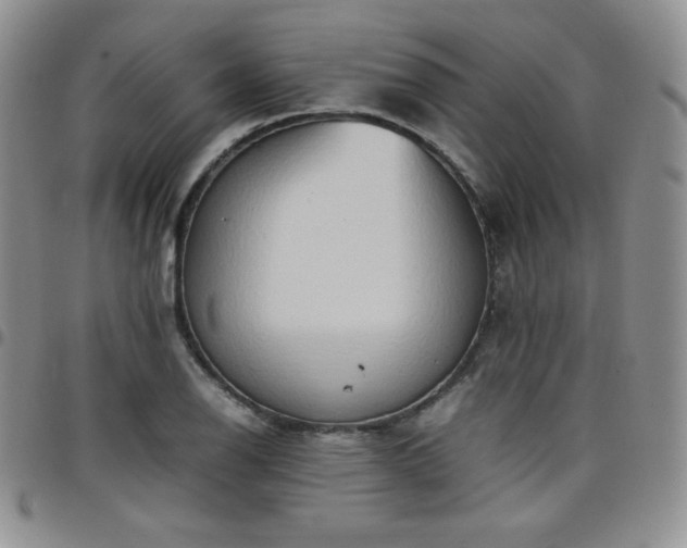 X0000099231126200805011131