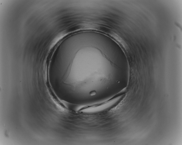 X0000099231127200805011131