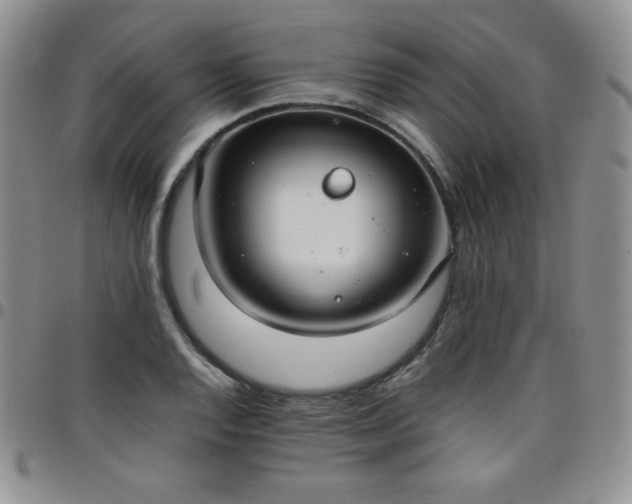 X0000099231128200805011131