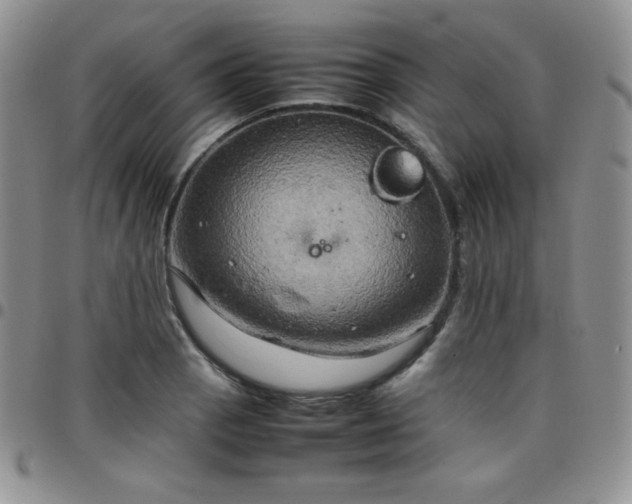 X0000099231129200805011131