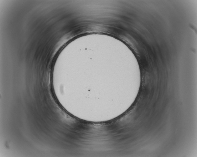 X0000099231130200805011131