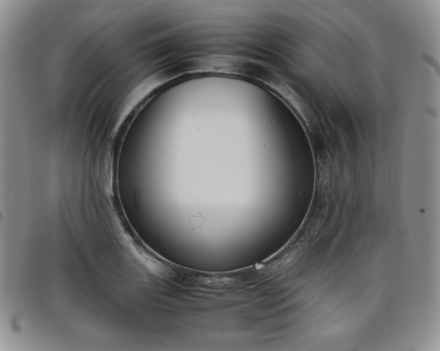 X0000099231131200805011131