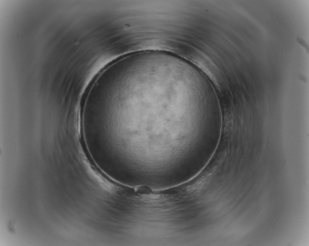 X0000099231132200805011131