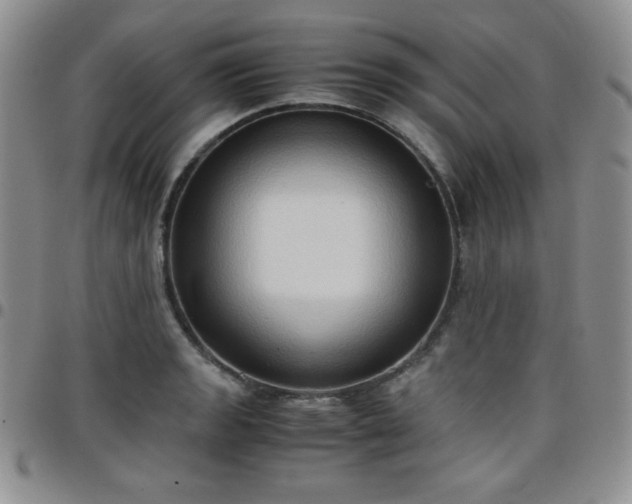 X0000099231133200805011131