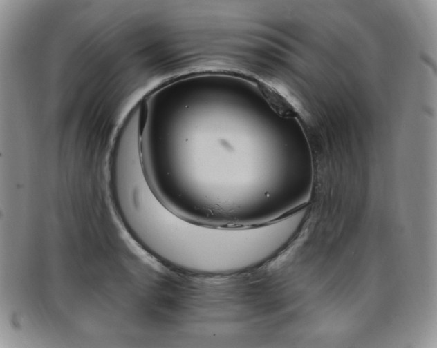 X0000099231134200805011131