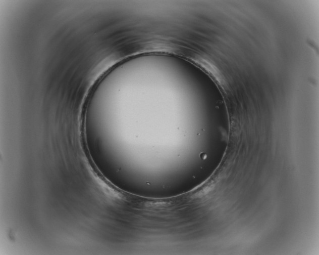 X0000099231135200805011131