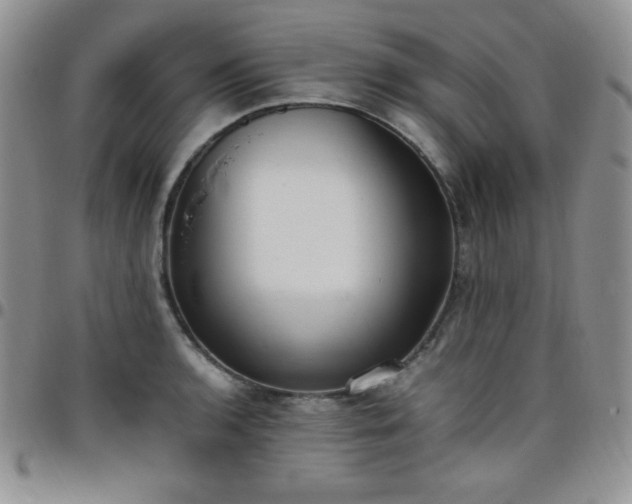 X0000099231136200805011131