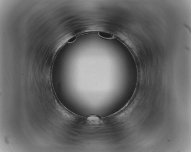 X0000099231137200805011131