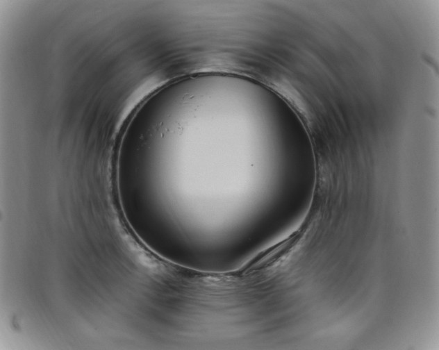 X0000099231138200805011131