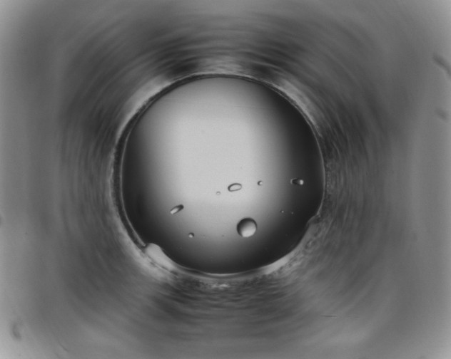 X0000099231139200805011131