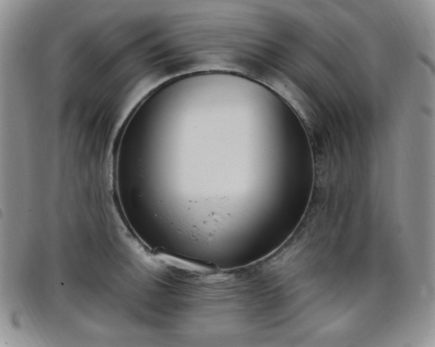 X0000099231140200805011131