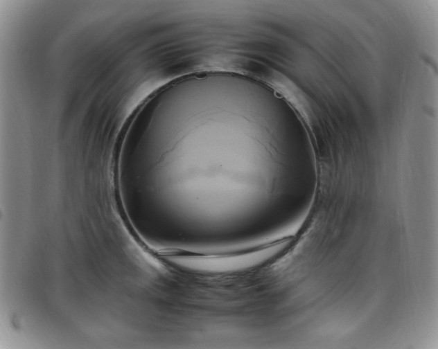 X0000099231141200805011131