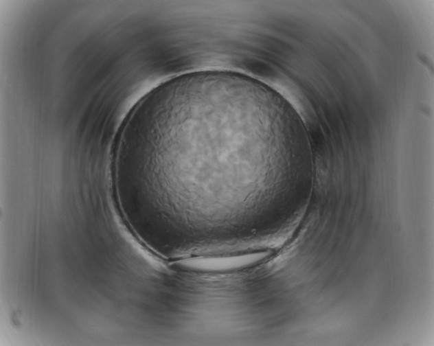 X0000099231142200805011131