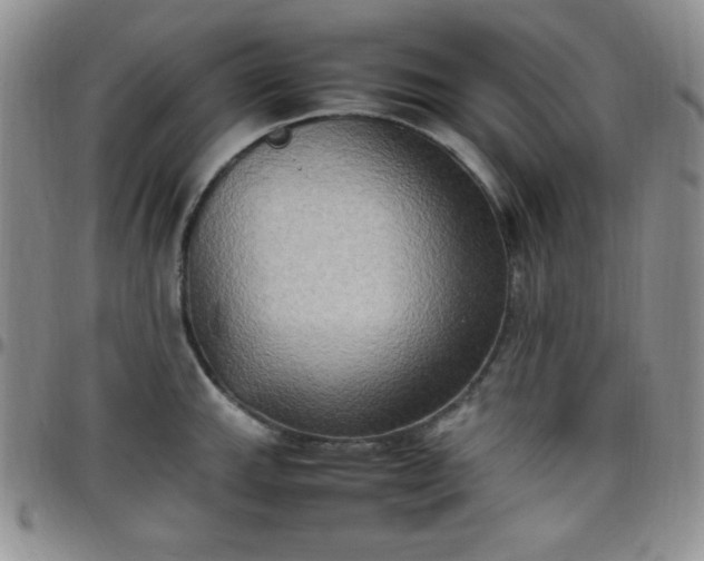 X0000099231143200805011131