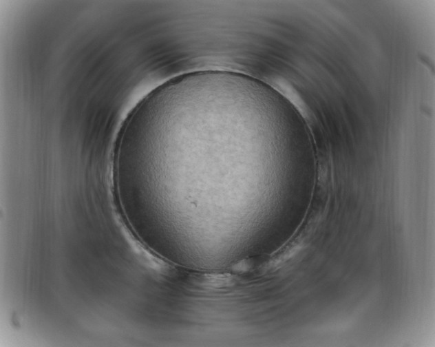 X0000099231144200805011131