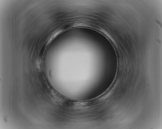 X0000099231145200805011131