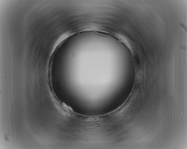 X0000099231146200805011131