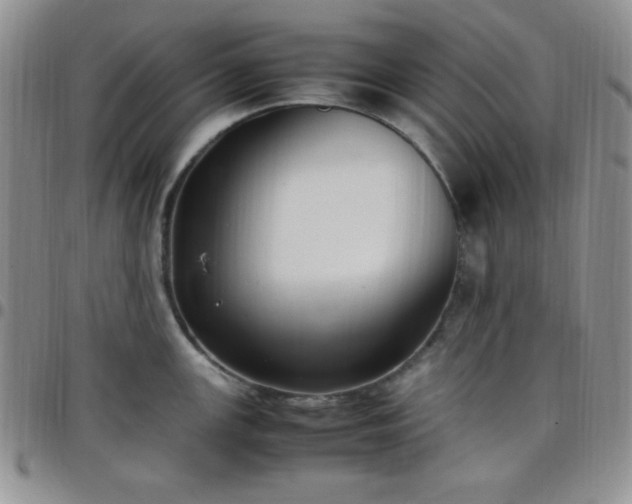 X0000099231147200805011131