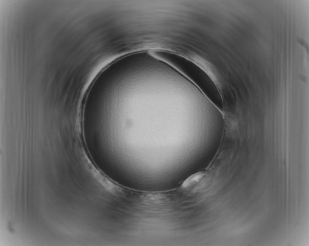 X0000099231148200805011131