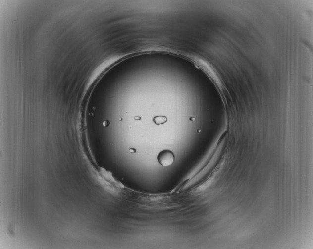 X0000099231149200805011131