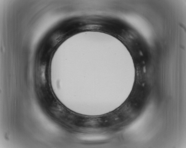 X0000099231150200805011131