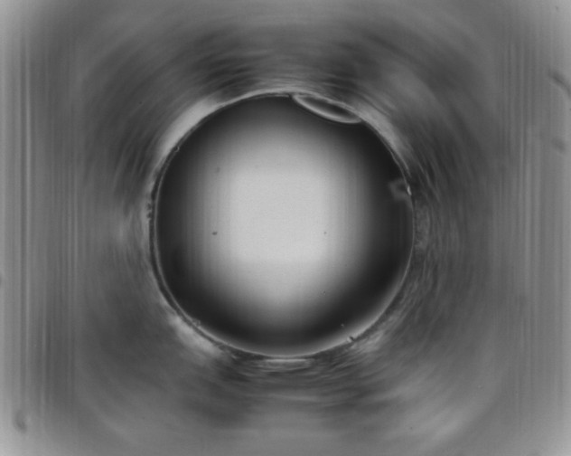 X0000099231151200805011131