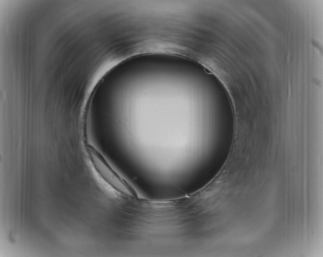 X0000099231152200805011131