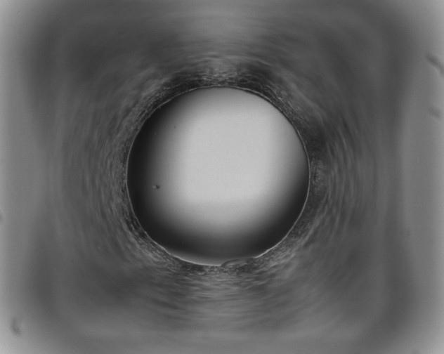 X0000099231153200805011131