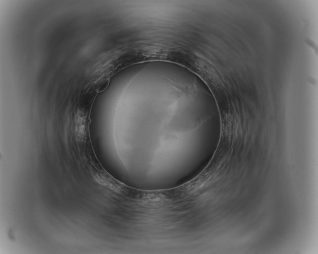 X0000099231154200805011131