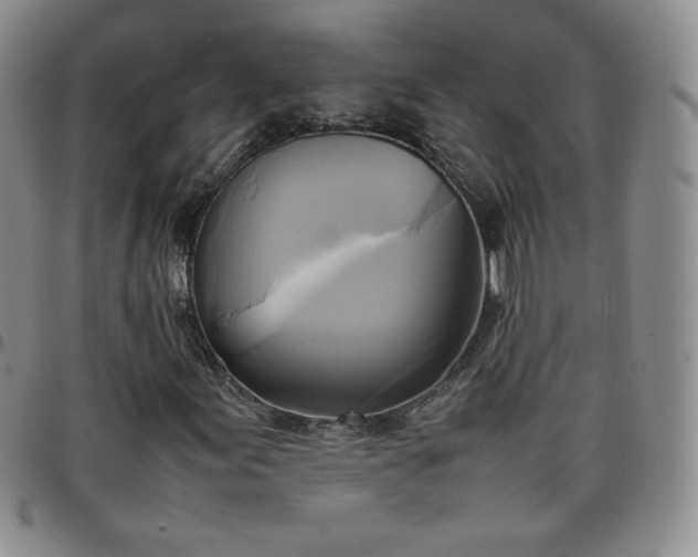 X0000099231155200805011131