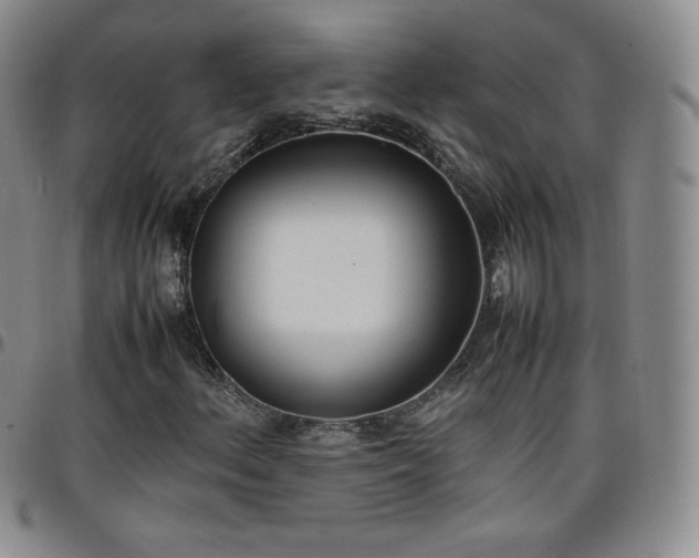 X0000099231156200805011131