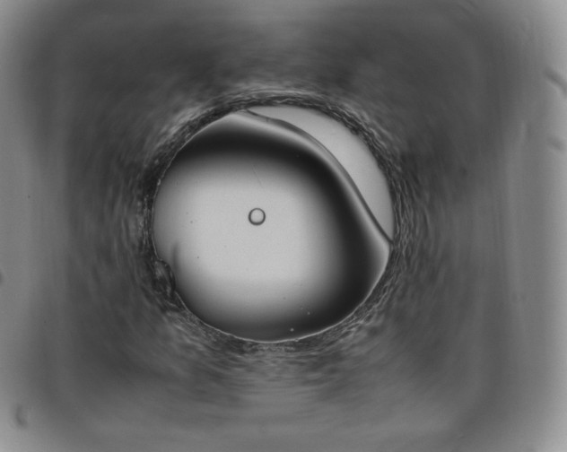 X0000099231157200805011130