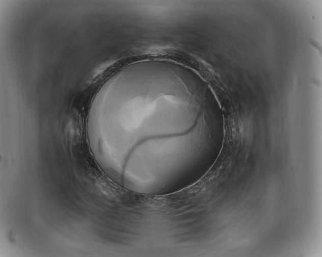 X0000099231158200805011130