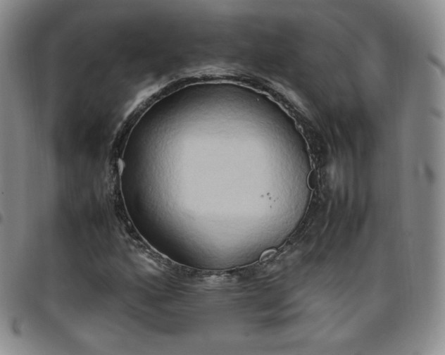 X0000099231160200805011130