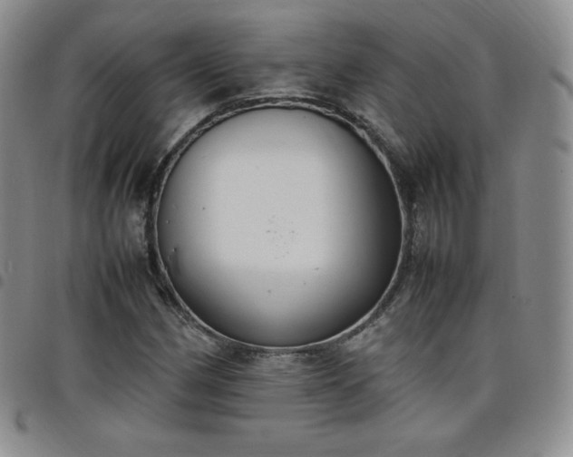 X0000099231162200805011130