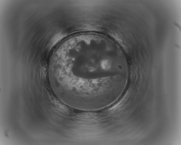 X0000099231163200805011130