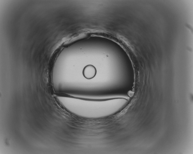 X0000099231165200805011130