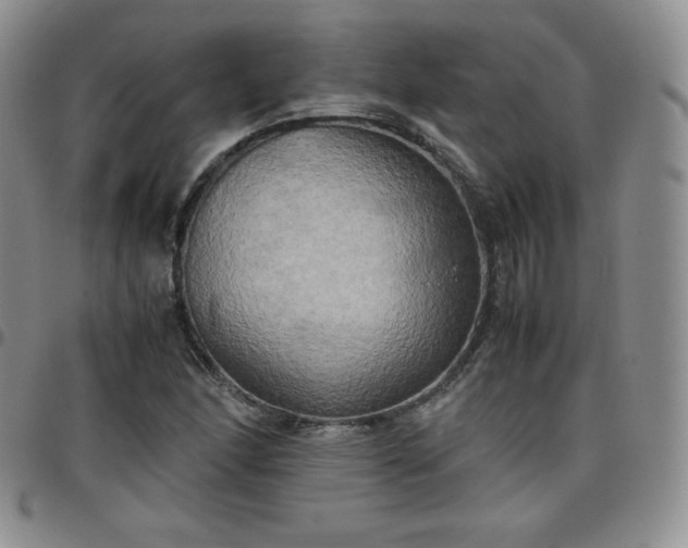 X0000099231166200805011130