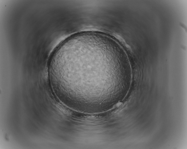 X0000099231167200805011130