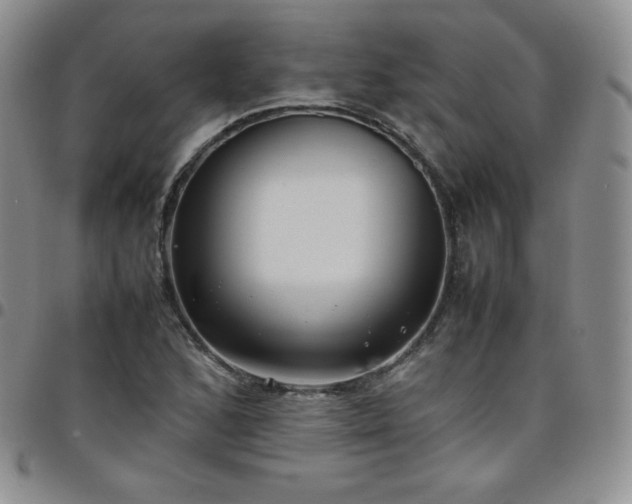 X0000099231168200805011130