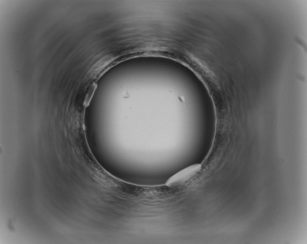 X0000099231169200805011130